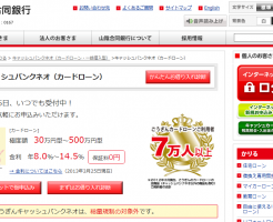 山陰合同銀行カードローン「キャッシュバンクネオ」