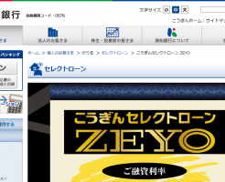 高知銀行「こうぎんセレクトローンZEYO」