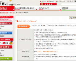 佐賀銀行カードローン「Neoca」